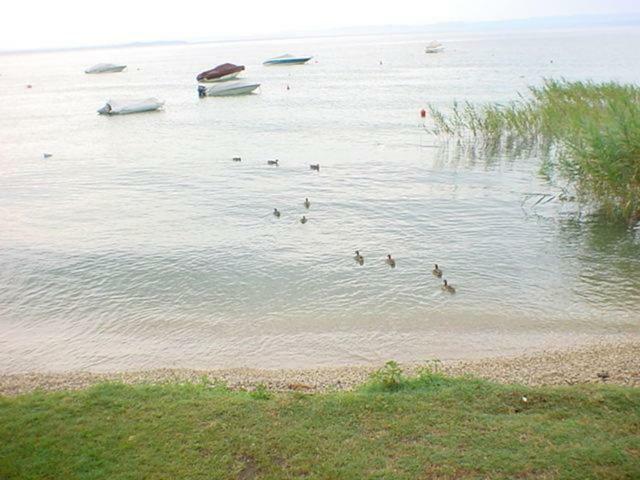 Camping Continental Hotel Bardolino Kültér fotó